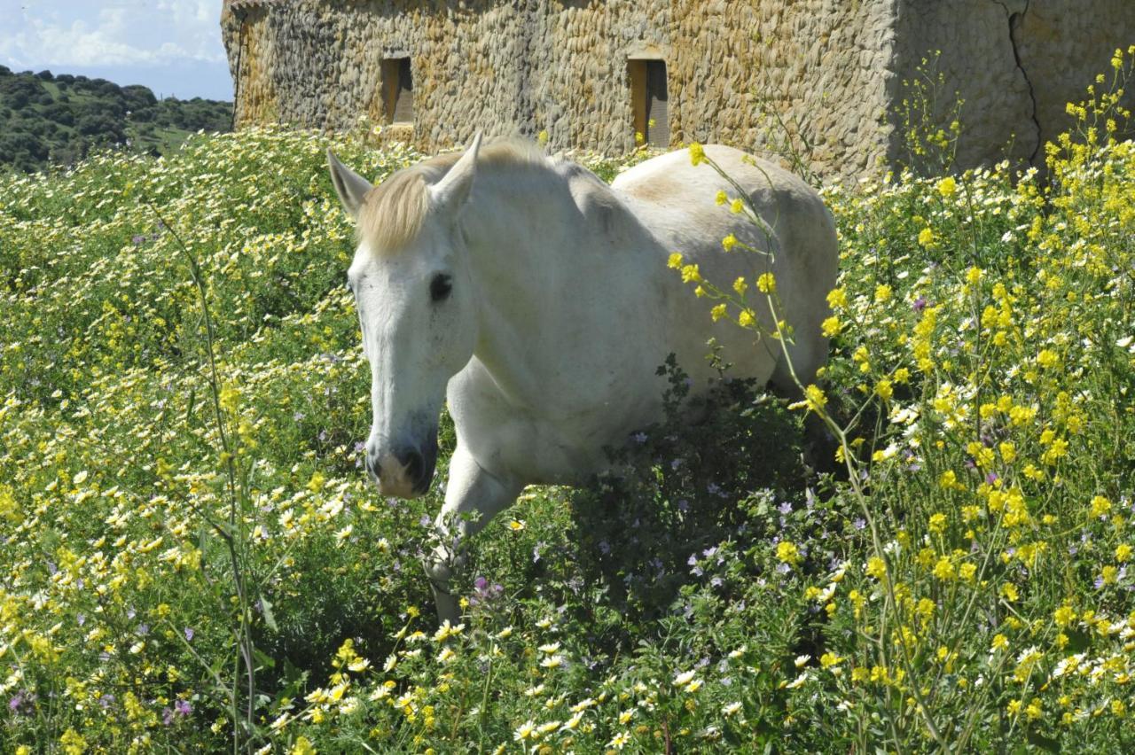 Appartement La Cantarera